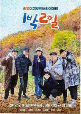 夜市摊位美食纪实条漫的封面插图